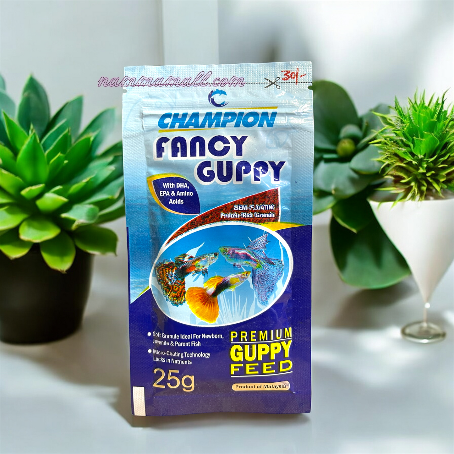 Champion Fancy Guppy 25g - Premium Guppy Feed - Semi Floating