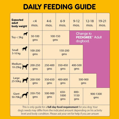 Pedigree Dry Dog Food - Puppy - Chicken & Milk