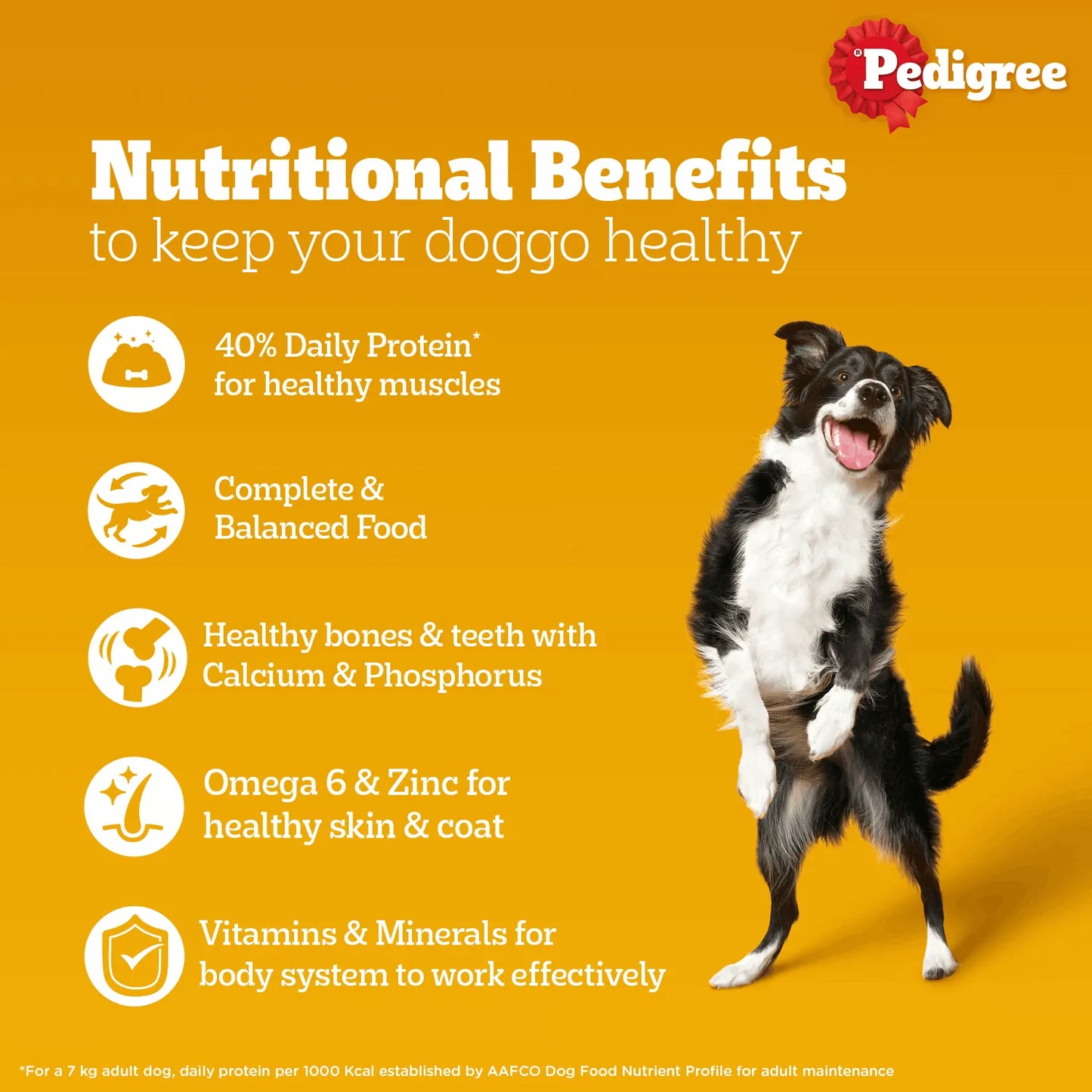 Pedigree - Wet Dog Food - Adult - Chicken & Liver Chunks in Gravy 130g